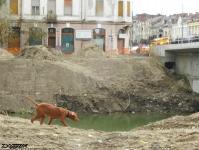 Imagine atasata: Pod Stefan Cel Mare - 2019.10.06 - 02.jpg